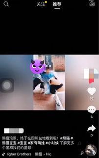 重庆动物园爆料新闻视频,神秘动物亮相,揭秘背后故事 第1张 重庆动物园爆料新闻视频,神秘动物亮相,揭秘背后故事 第1张