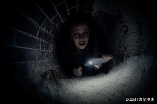 恐怖影视在线观看,恐怖影视在线观看指南 第3张 恐怖影视在线观看,恐怖影视在线观看指南 第3张